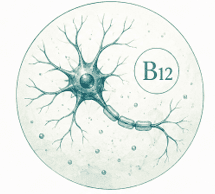 Vitamin B12