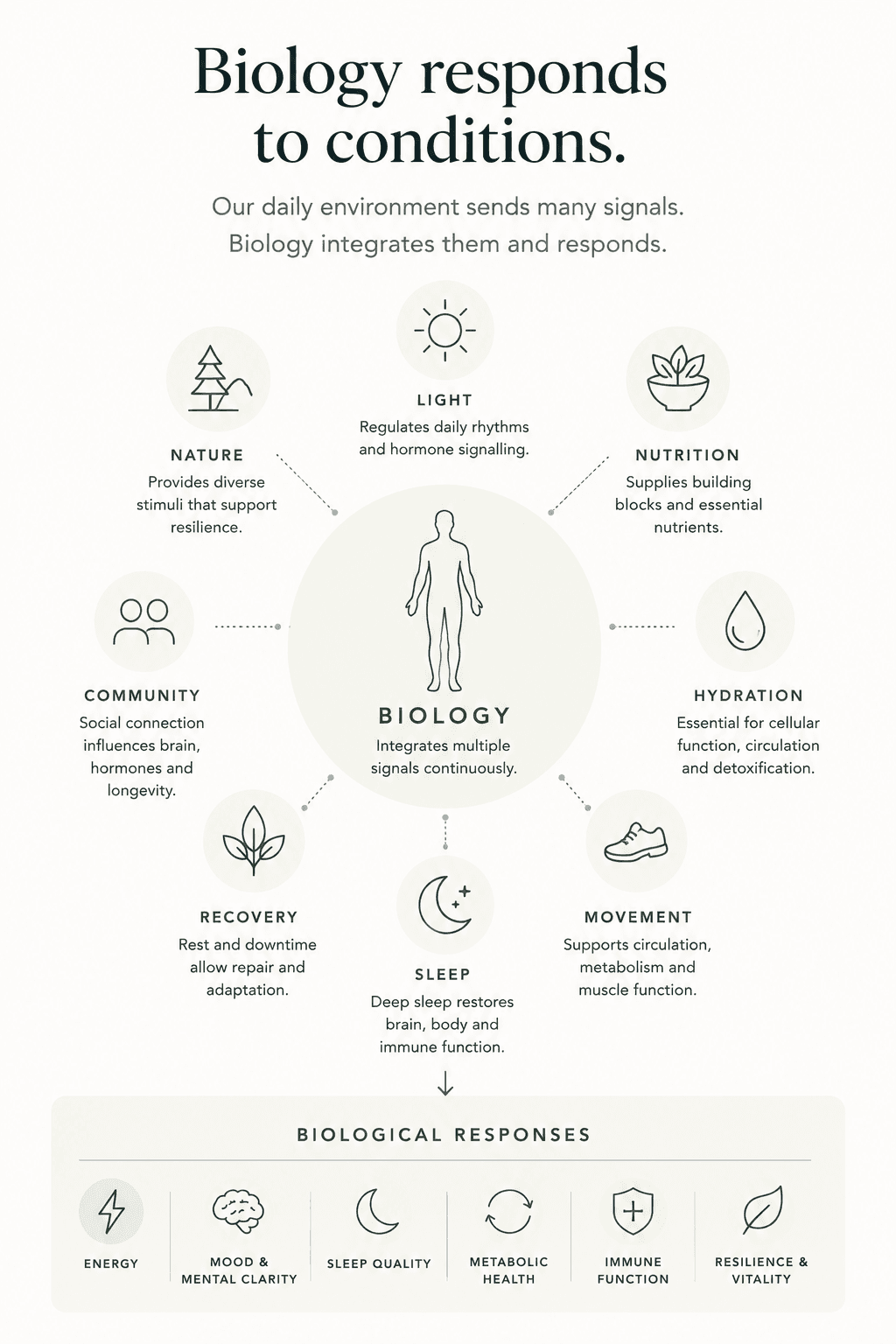 Illustration showing how supportive biological conditions together influence the body's responses.