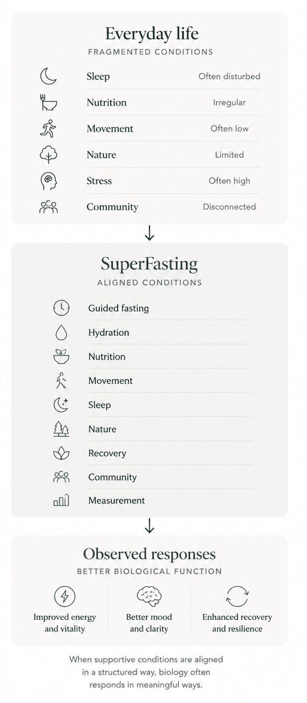 Illustration showing how everyday fragmented conditions become intentionally aligned during SuperFasting.